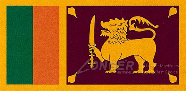 the flag of Sri Lanka
