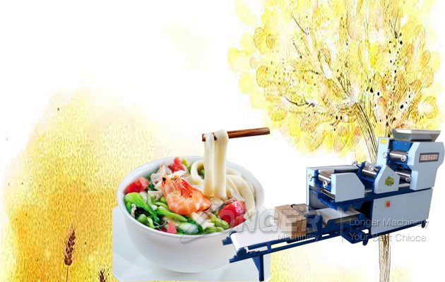 What types of automatic noodle making machine?