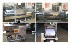 Rice Noodle Machine Sold To India